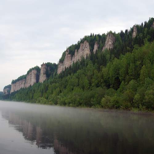Photo #13264583