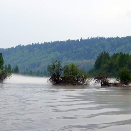 Photo #13264584