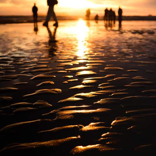 Photo #13264713