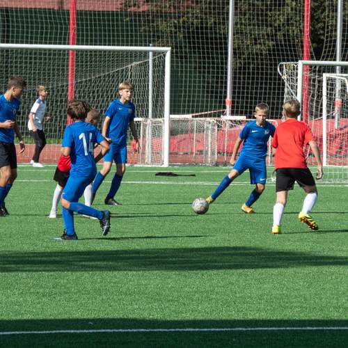 Photo #13264846