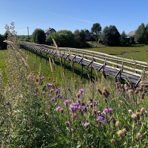 Photo #13265258