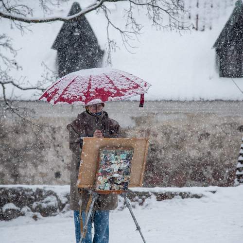 Photo #13265325