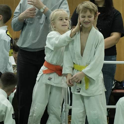 Photo #13265690