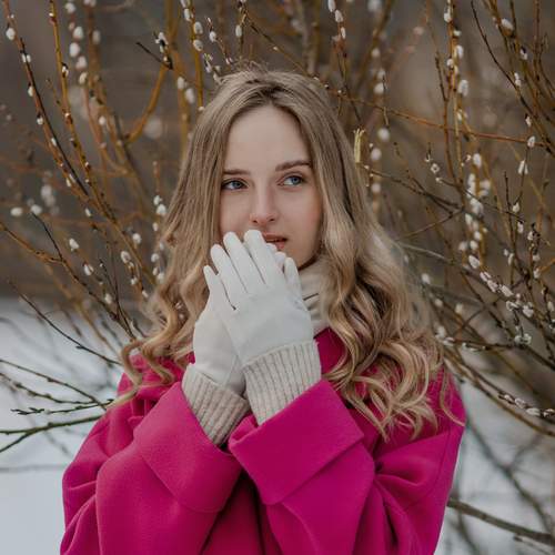 Photo #13265744
