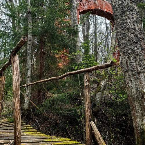 Фотография #13265772