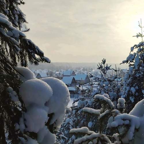 Photo #13265781