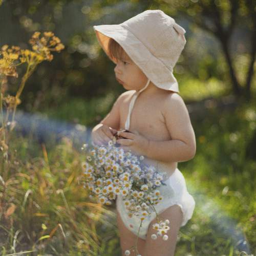 Photo #13265845