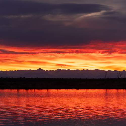 Photo #13265890