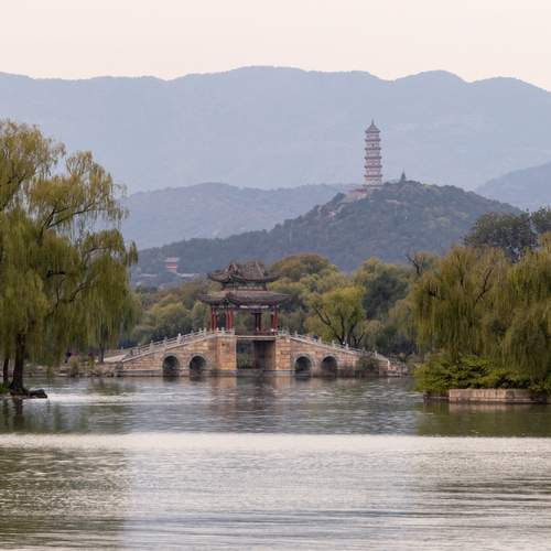 Photo #13265988