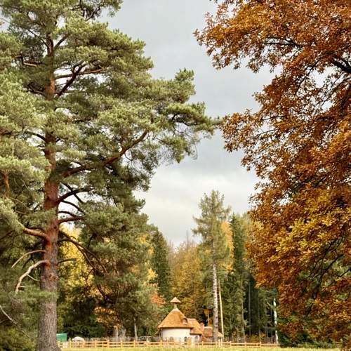 Photo #13266134