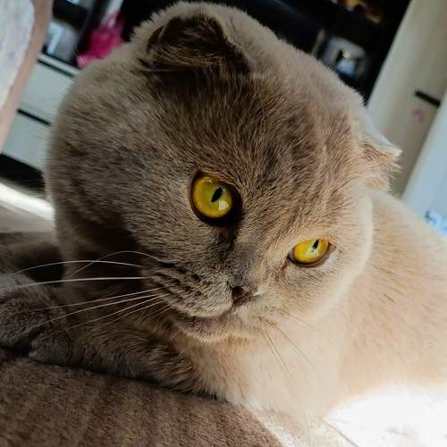 Photo #13266419