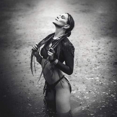 Photo #13266517