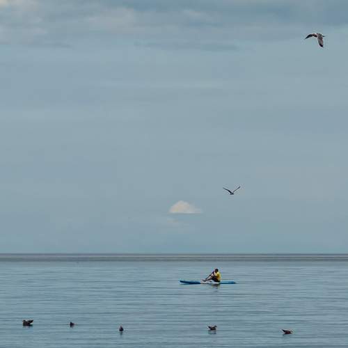 Photo #13266583