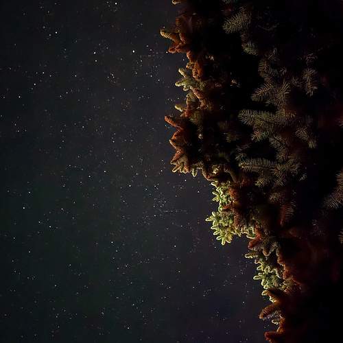 Photo #13266597