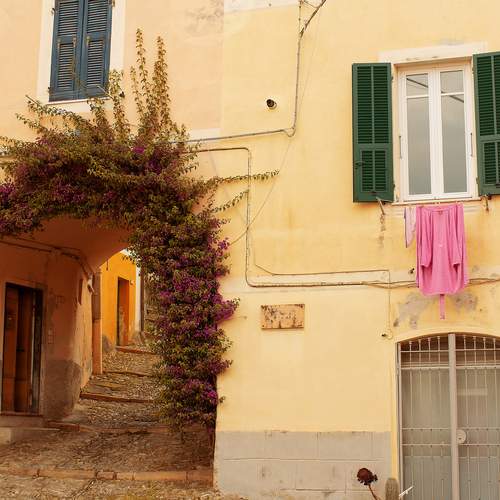 Photo #13266746