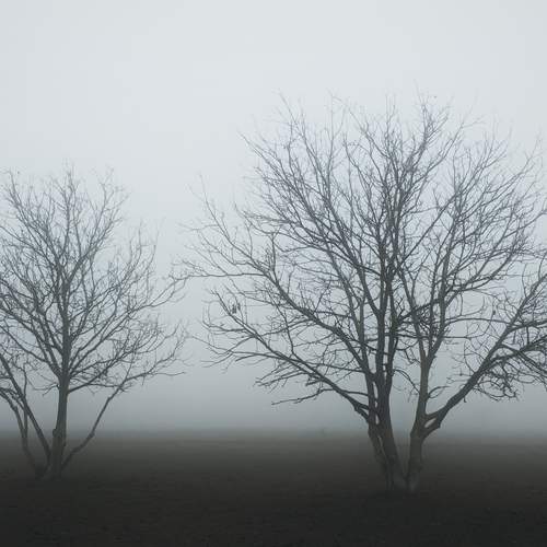 Photo #13266831