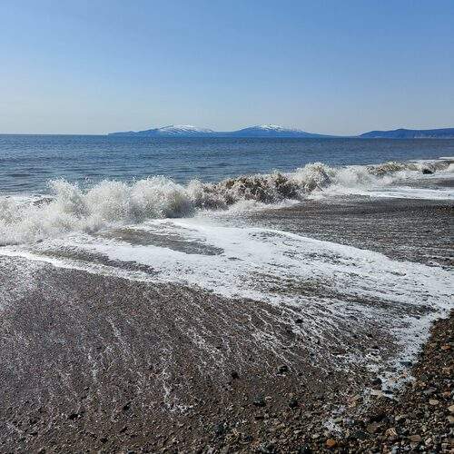 Photo #13267089