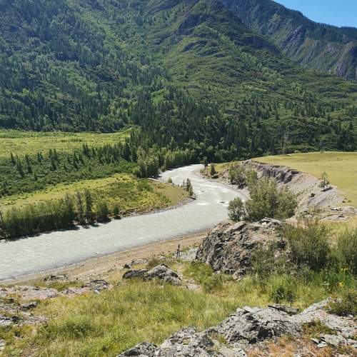 Photo #13267099