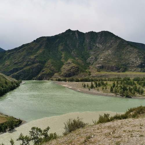 Photo #13267103