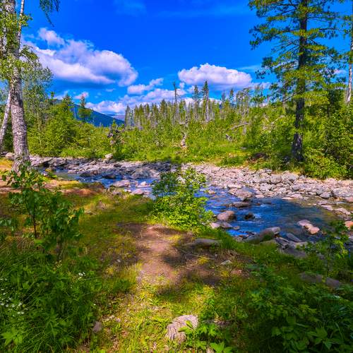 Утро таёжной речки.