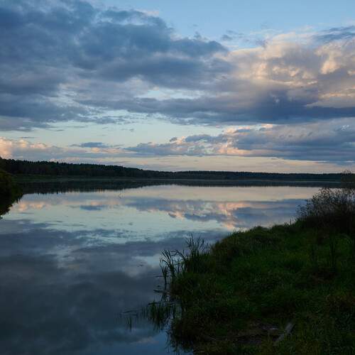 Photo #13267286