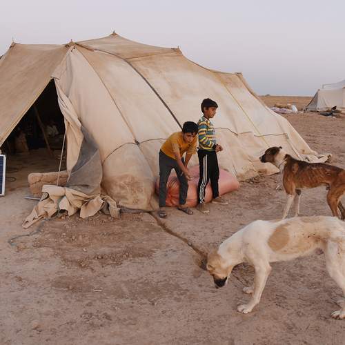 Photo #13267519