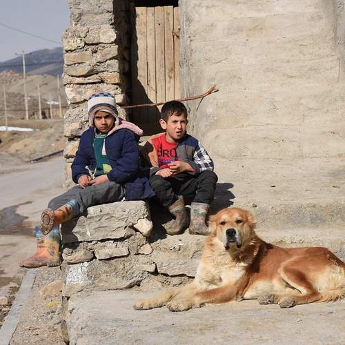 Photo #13267525
