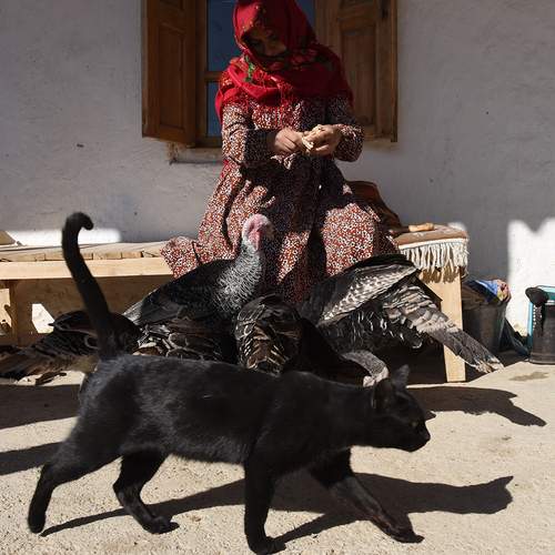 Photo #13267535