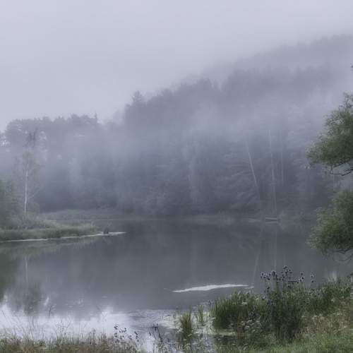 Photo #13267642