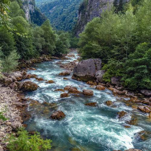 Photo #13267665