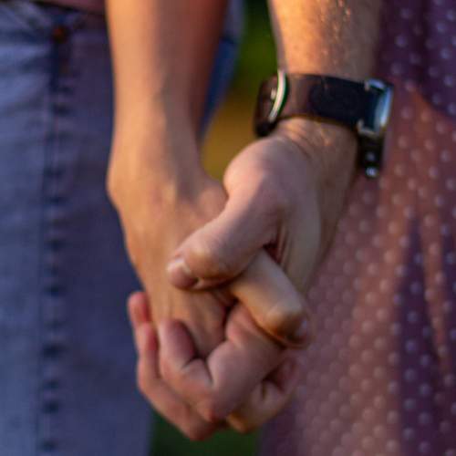 Photo #13267678