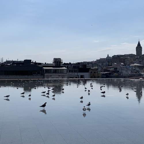 Photo #13267684