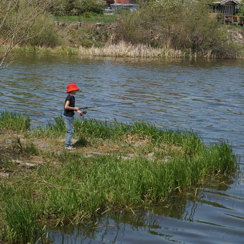 Photo #13267869