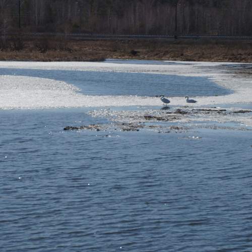 Photo #13267919