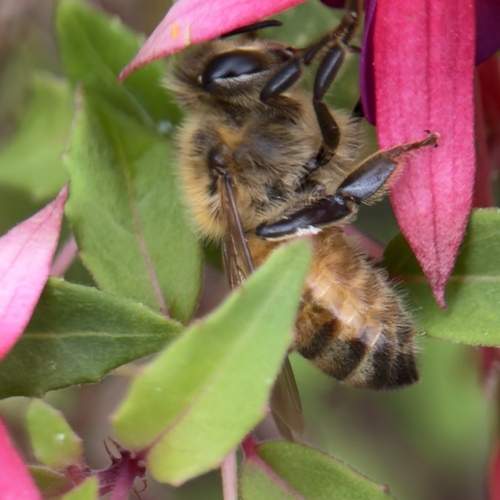 Photo #13267995