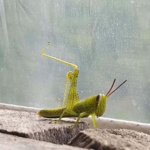 Photo #13268096