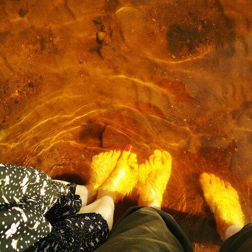 Photo #13268201