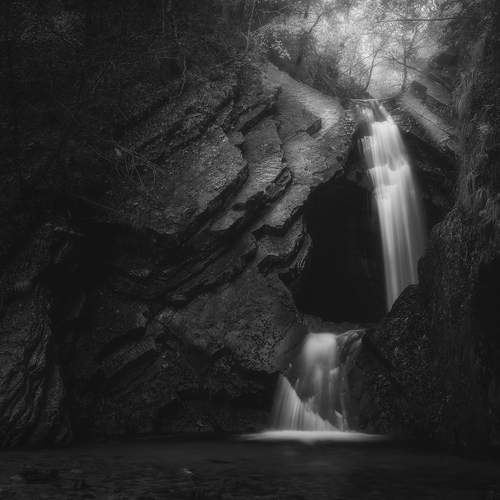 Фотография #13268227