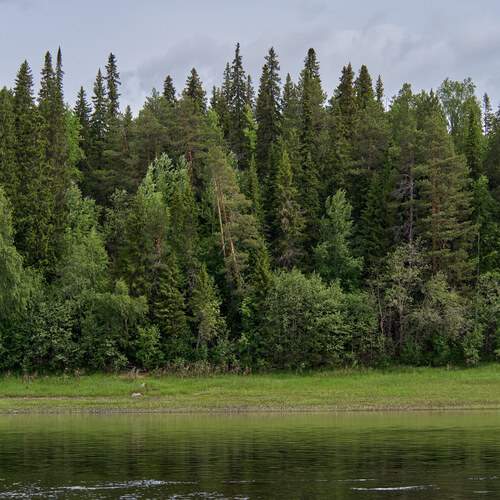 Photo #13268428