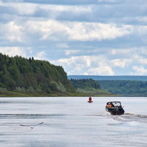 Photo #13268449