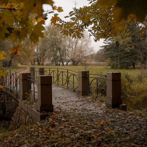 Photo #13268483