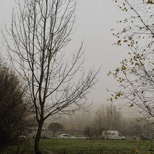 Photo #13268571
