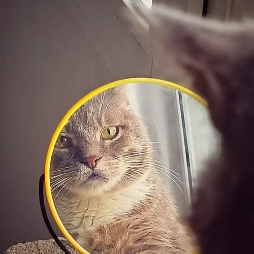 Photo #13268576