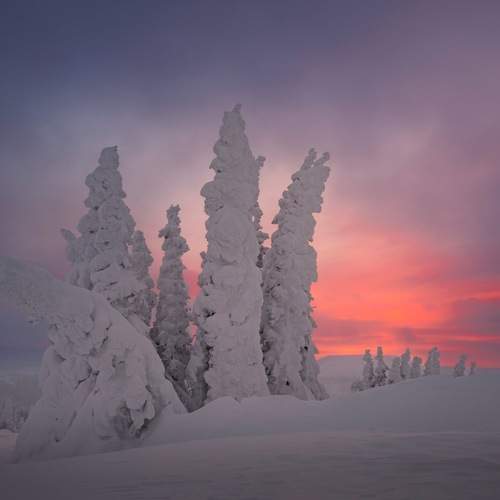 Photo #13268583