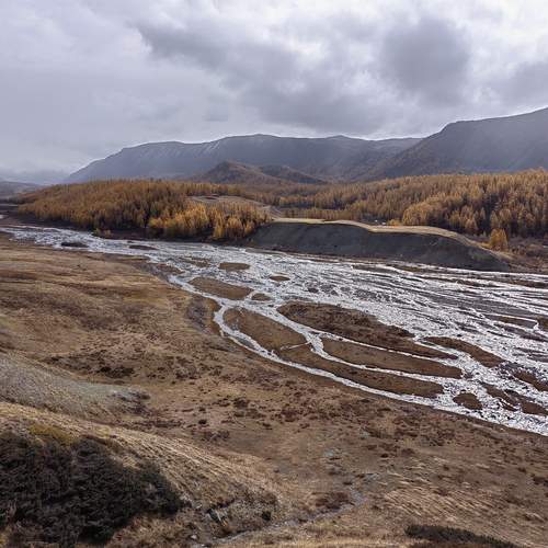 Photo #13268637