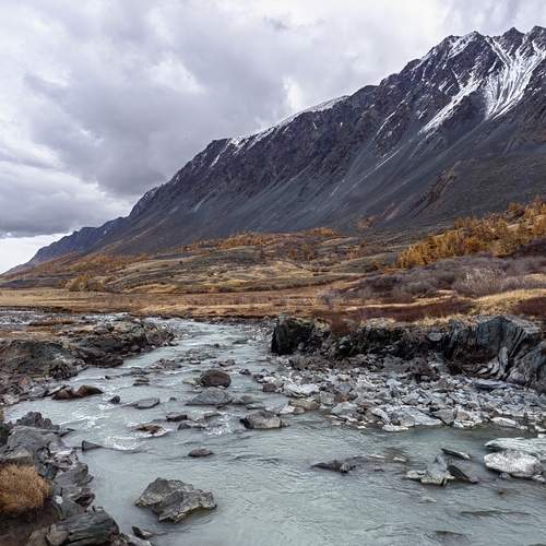 Photo #13268638