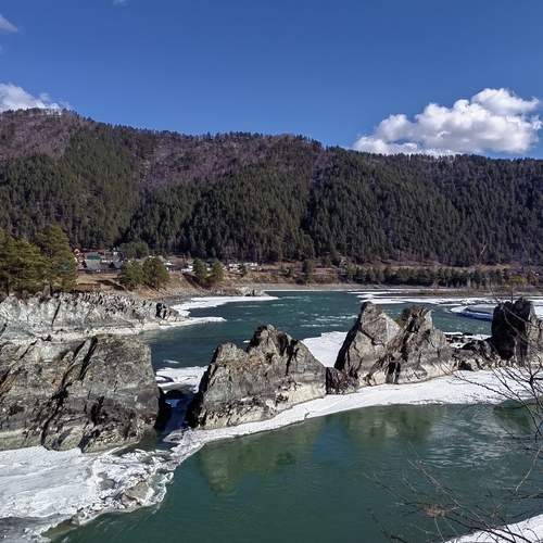 Photo #13268639