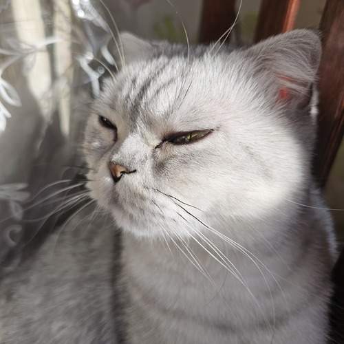 Photo #13268666