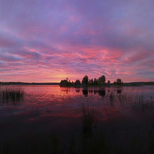 Photo #13268742