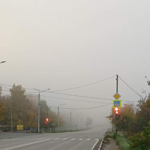 Photo #13268805